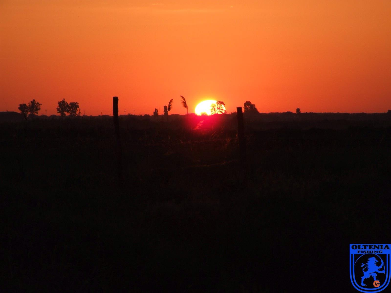 2013 - 2 - image111111111111111111.jpg